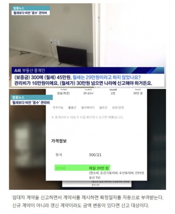 요즘 늘어나는 꼼수 월세.jpg