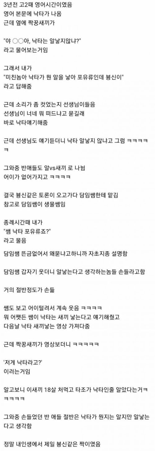 낙타는 알 낳지??