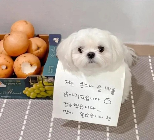 홍보 ㅎㅎ