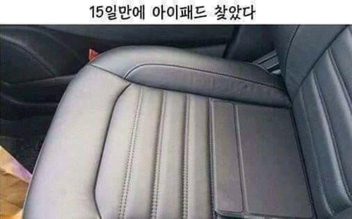보름이 지나 찾았다