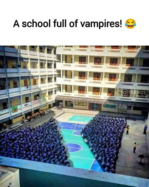 정확히 햇빛만 피했네