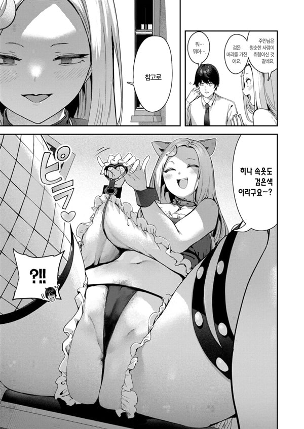 개변태 컨셉