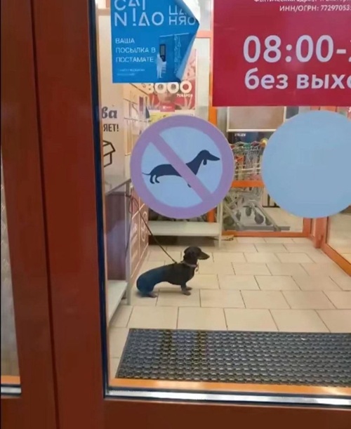 못들어가네 젠장