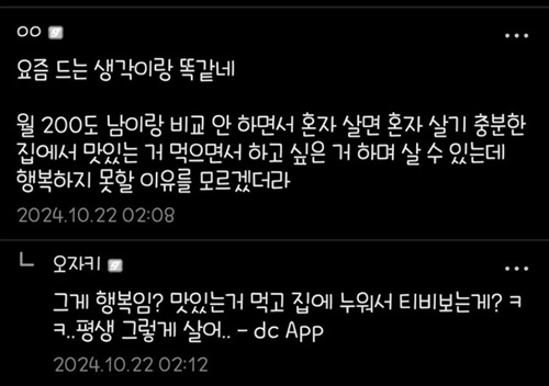 행복하다는 사람을 조롱한 디시인