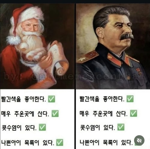 비슷한 점