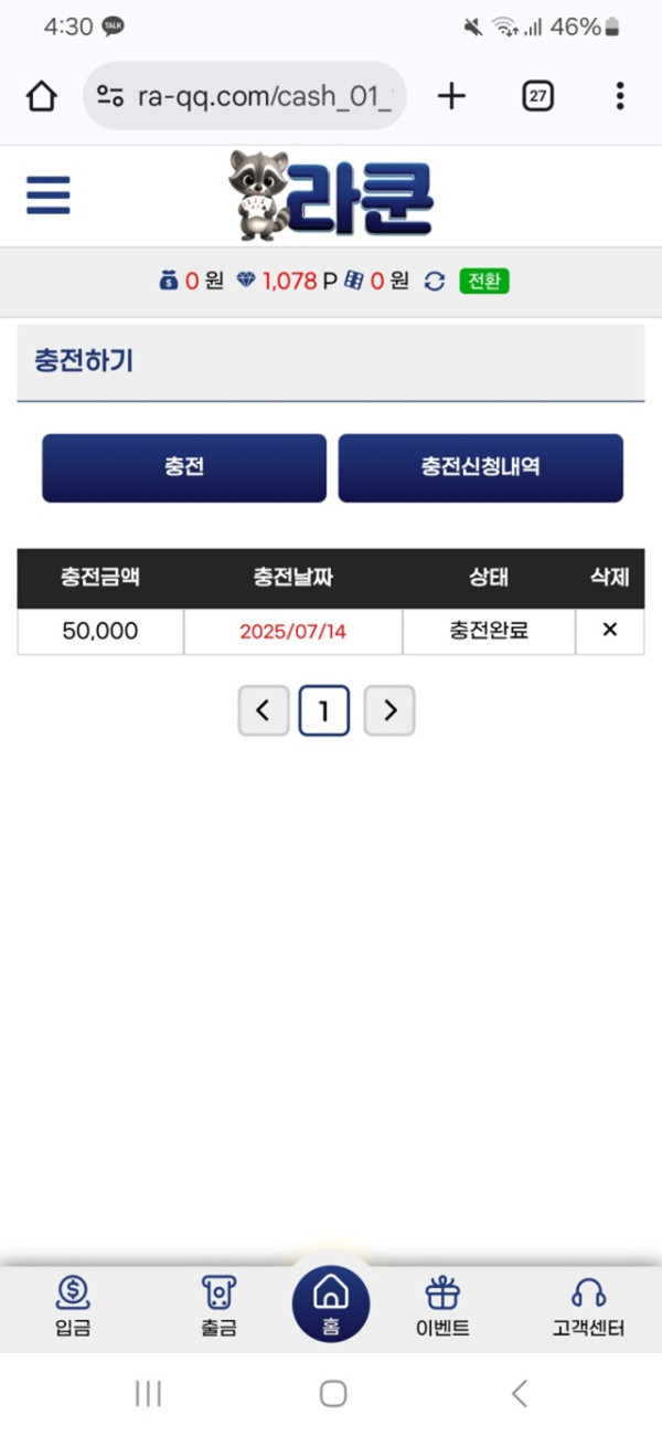 라쿤 후기