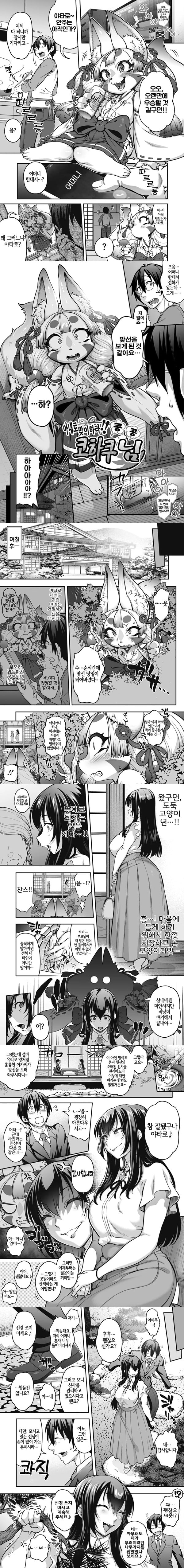 아내로 맞이라하 코하쿠님