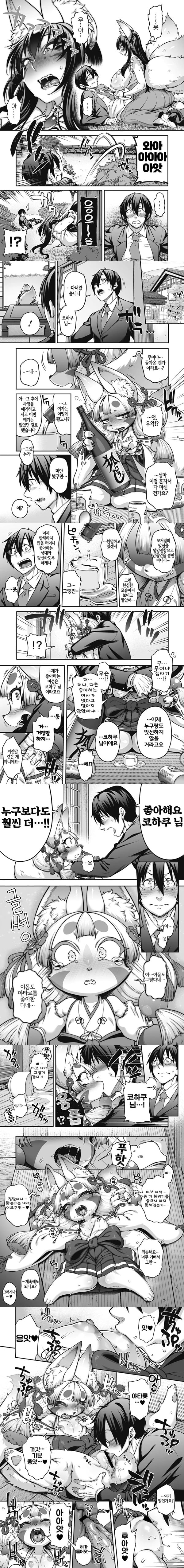 아내로 맞이라하 코하쿠님