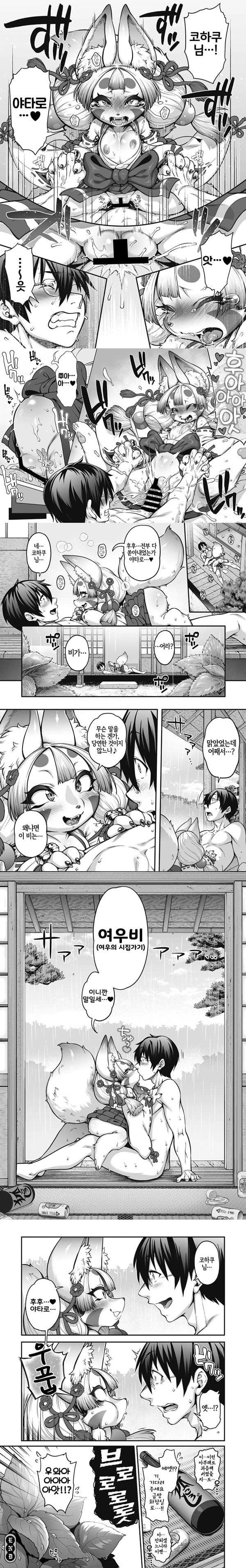 아내로 맞이라하 코하쿠님