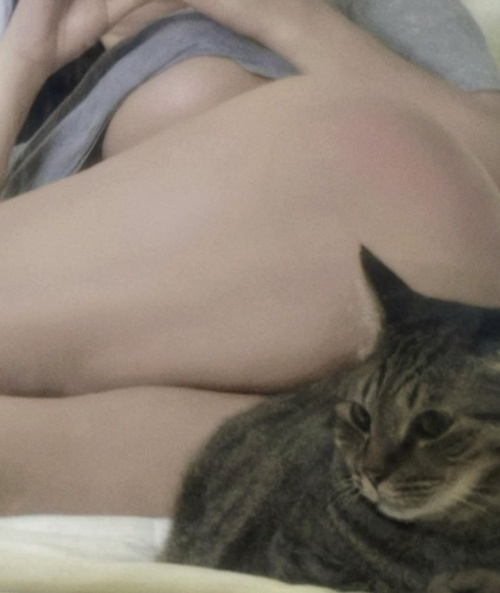 체형 미쳤다