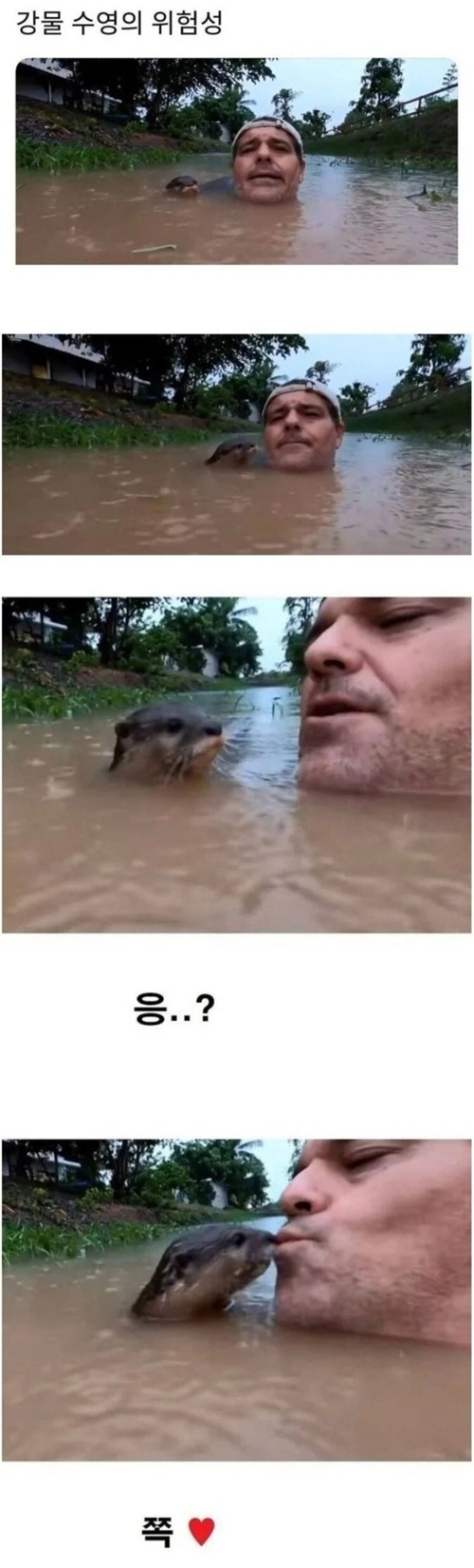 강물이 이렇게 위험하다