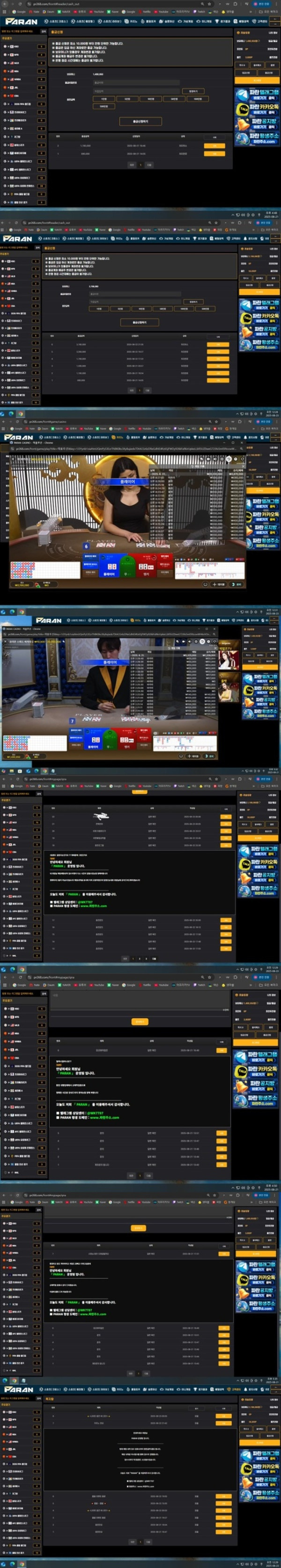 파란 먹튀조심