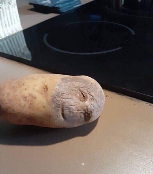세상 내려놓은 표정이네