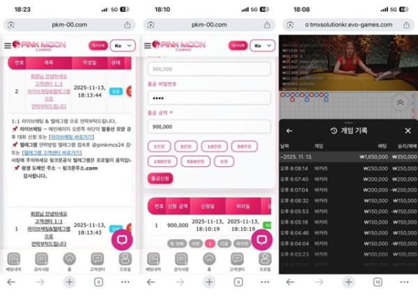 핑크문 카지노 먹튀