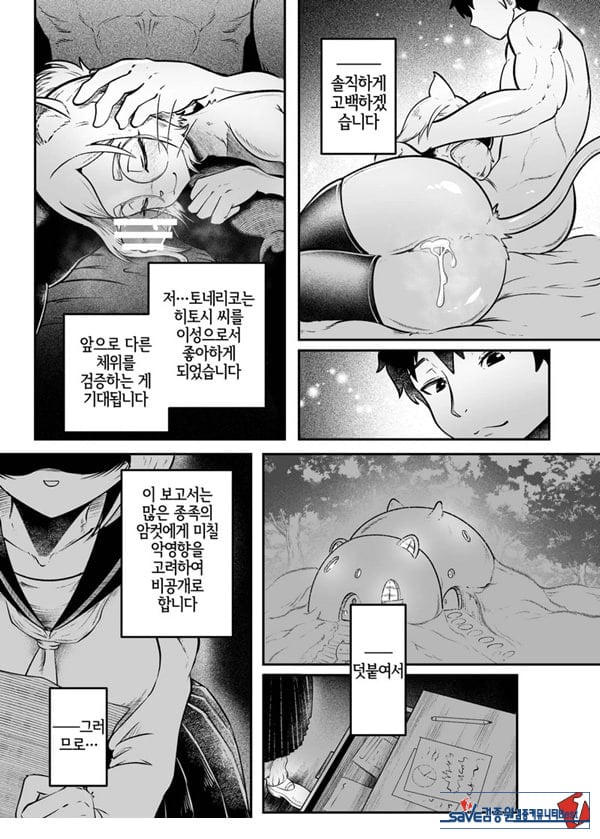 토네리코 보도관의 비밀보고서