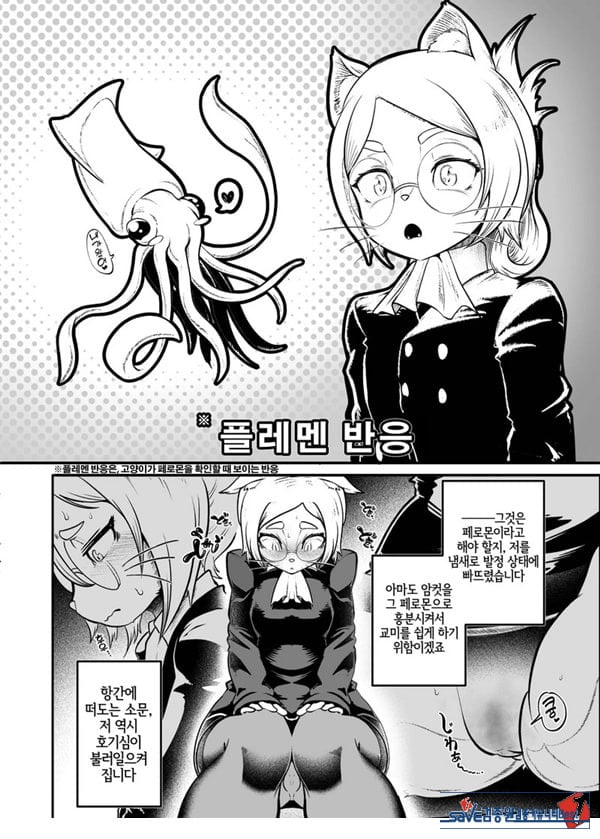 토네리코 보도관의 비밀보고서