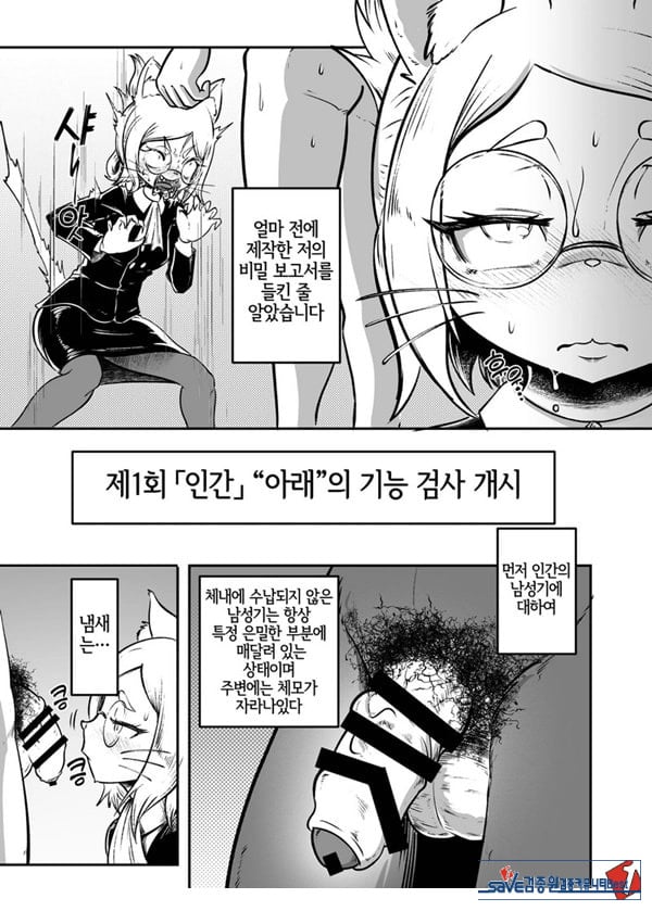 토네리코 보도관의 비밀보고서