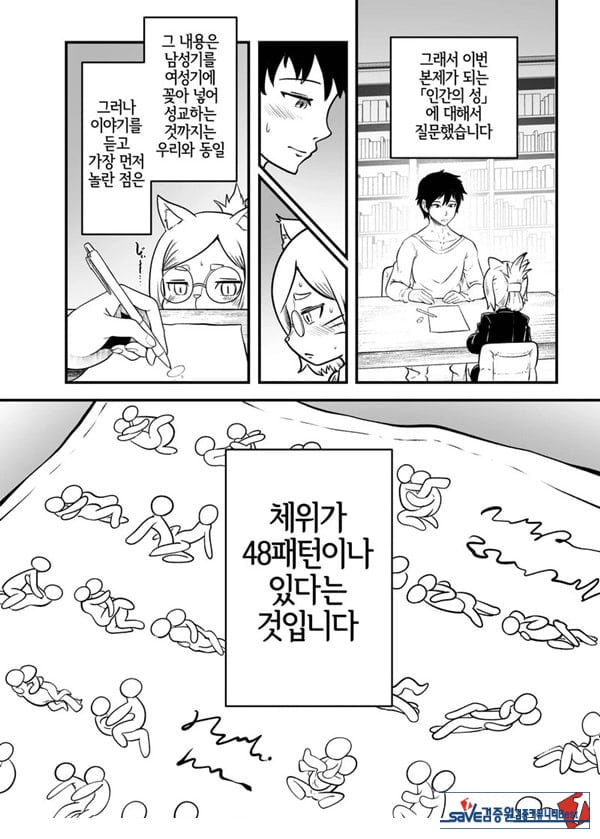 토네리코 보도관의 비밀보고서