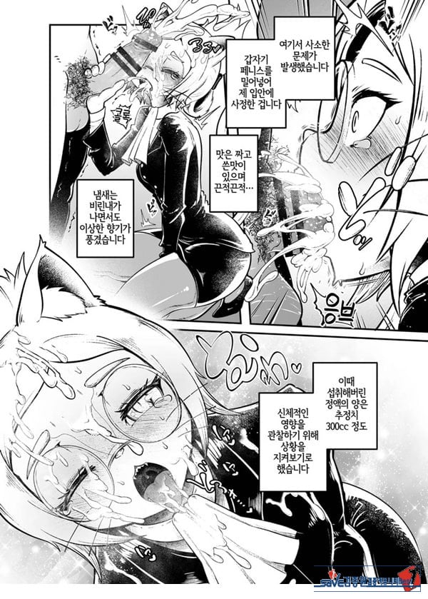 토네리코 보도관의 비밀보고서