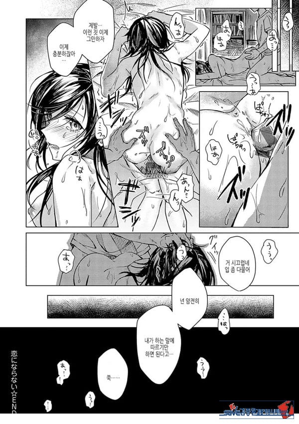사랑이 되지 않아