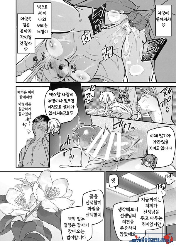 선택은 세미나의 꽃인가 과일인가