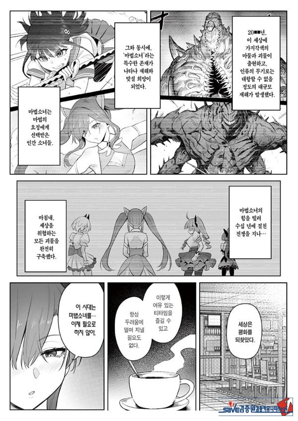 전직 마법소녀의 업무편 청 전일담