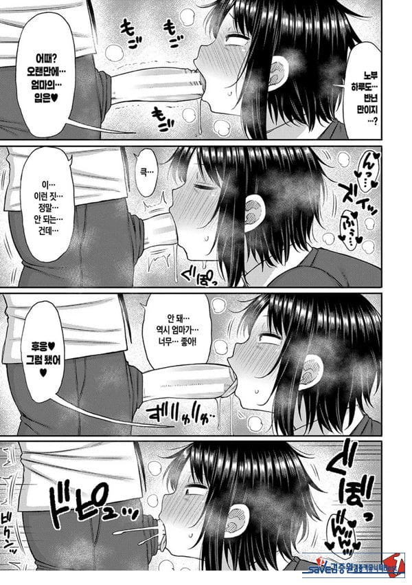 엄마를 좋아하는게 뭐가 나빠