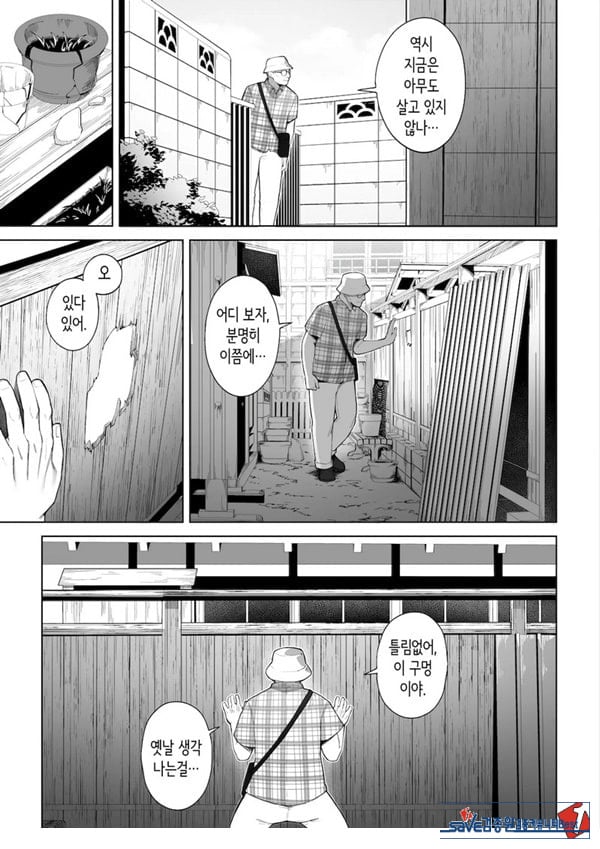 구멍 너머의 뜨거운 여름