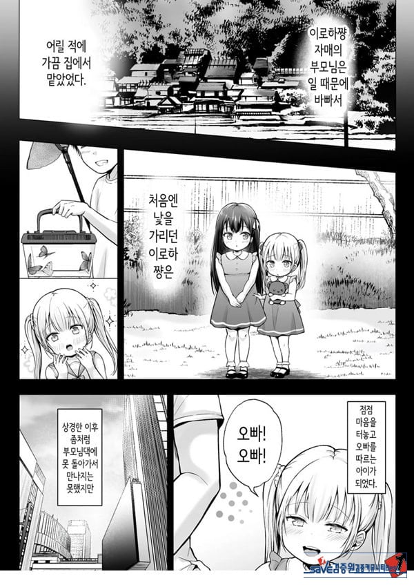 여름방학의 하렘·여동생