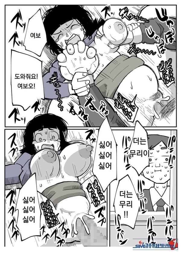 어느 시골마을의 주부 연속 강간 사건