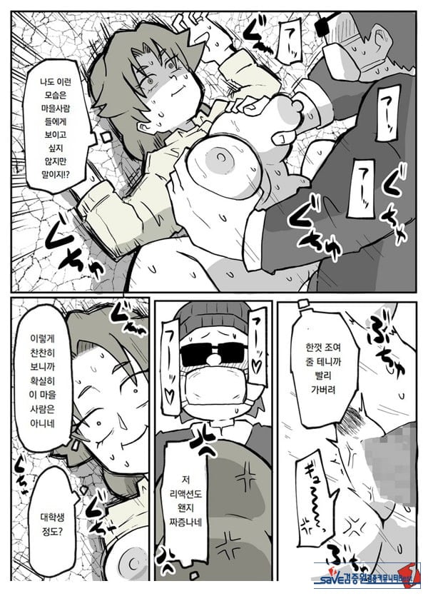 어느 시골마을의 주부 연속 강간 사건