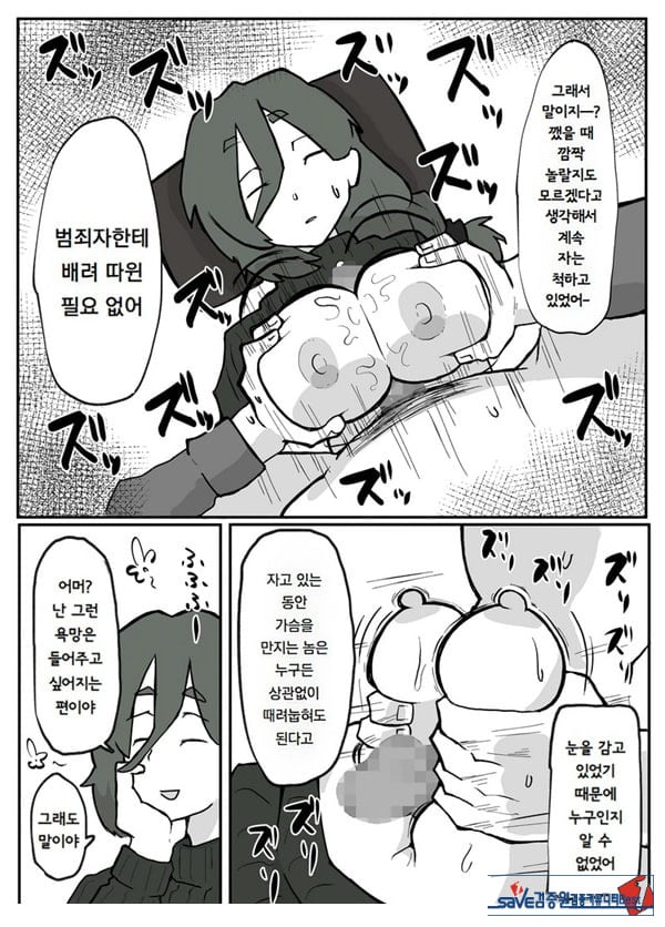 어느 시골마을의 주부 연속 강간 사건