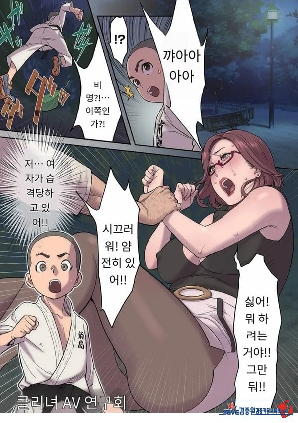 크리 여배우 AV 연구회