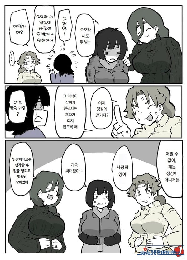 어느 시골마을의 주부 연속 강간 사건