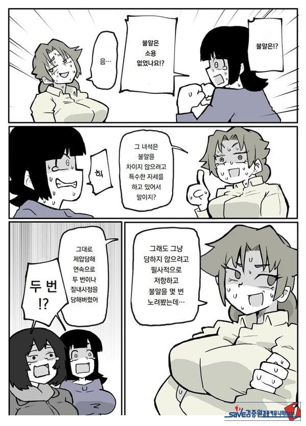 어느 시골마을의 주부 연속 강간 사건