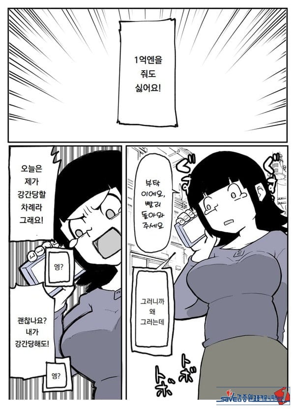 어느 시골마을의 주부 연속 강간 사건