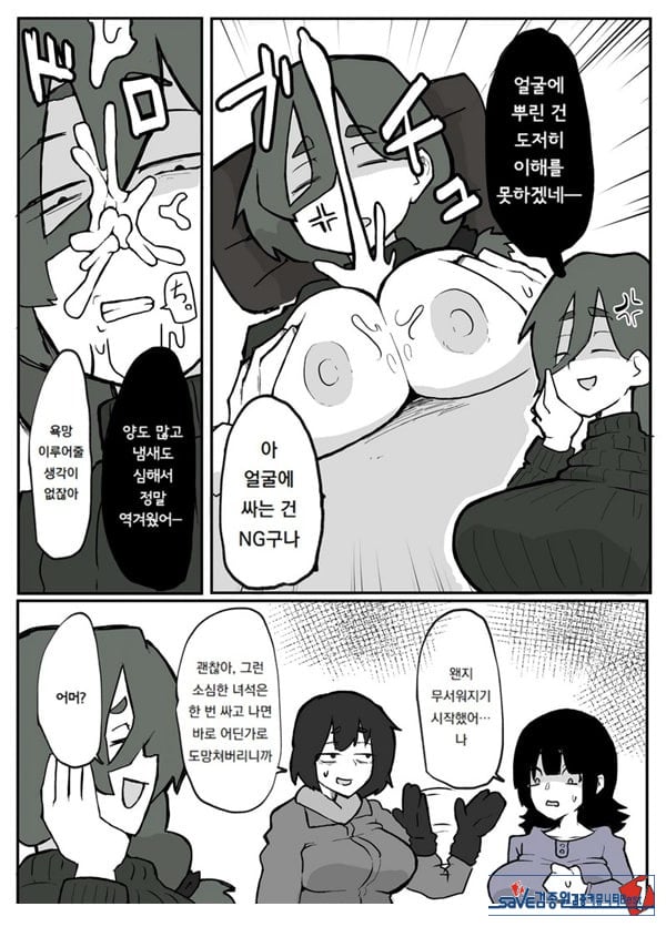 어느 시골마을의 주부 연속 강간 사건