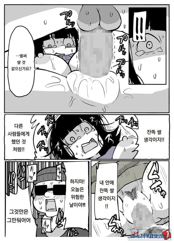 어느 시골마을의 주부 연속 강간 사건