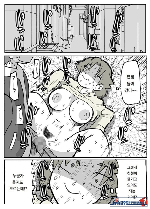 어느 시골마을의 주부 연속 강간 사건