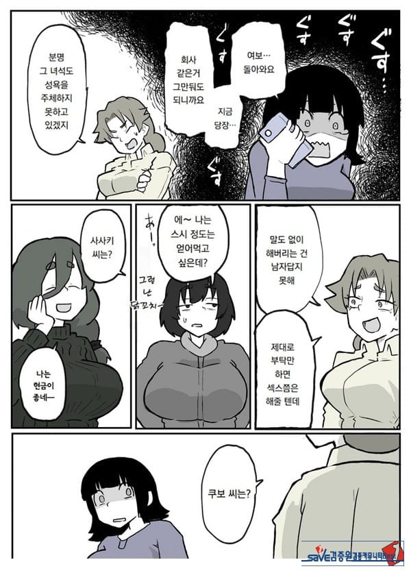 어느 시골마을의 주부 연속 강간 사건