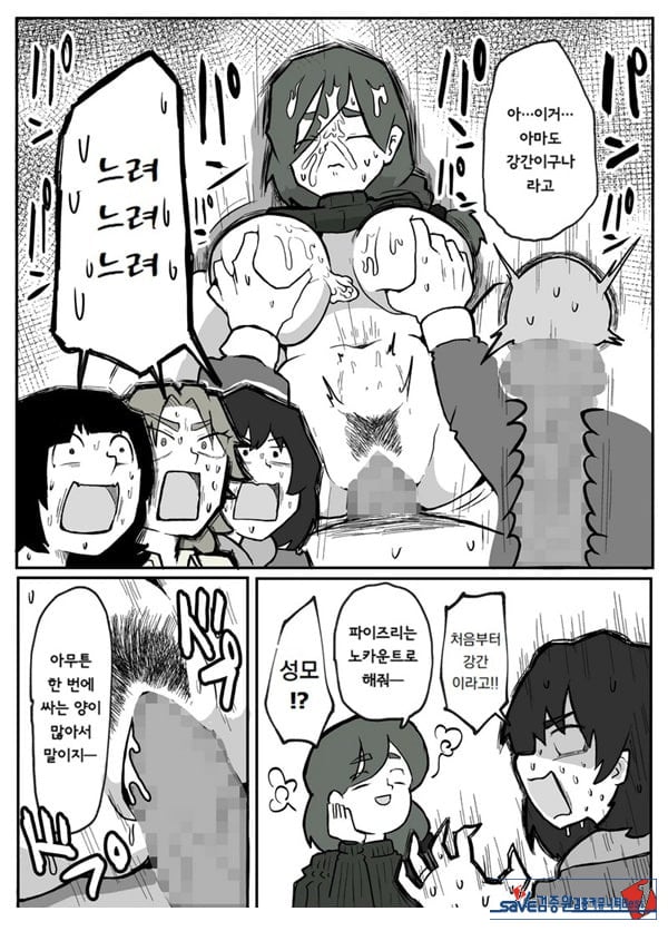 어느 시골마을의 주부 연속 강간 사건