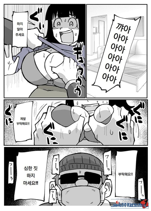 어느 시골마을의 주부 연속 강간 사건