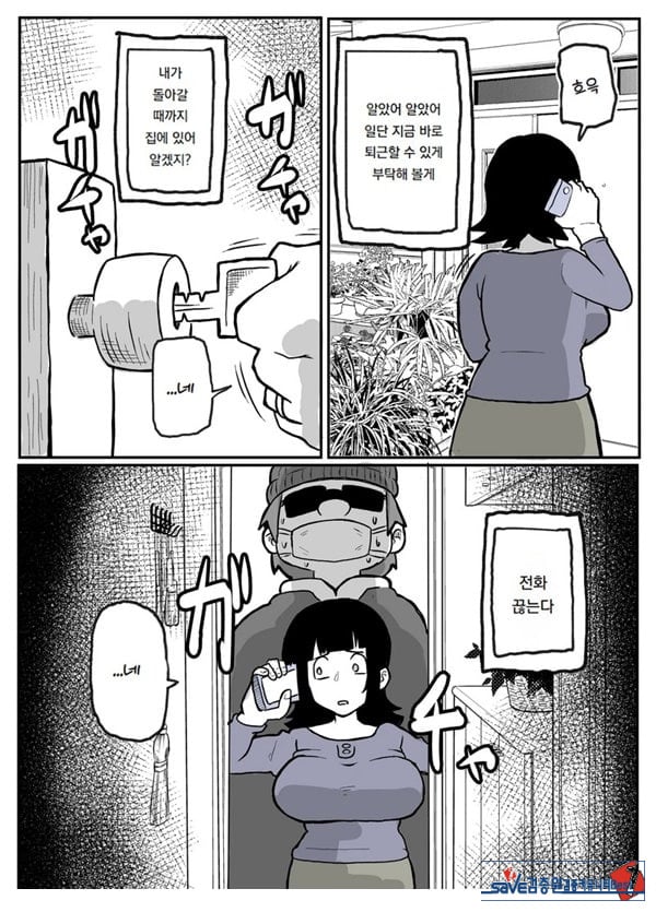 어느 시골마을의 주부 연속 강간 사건