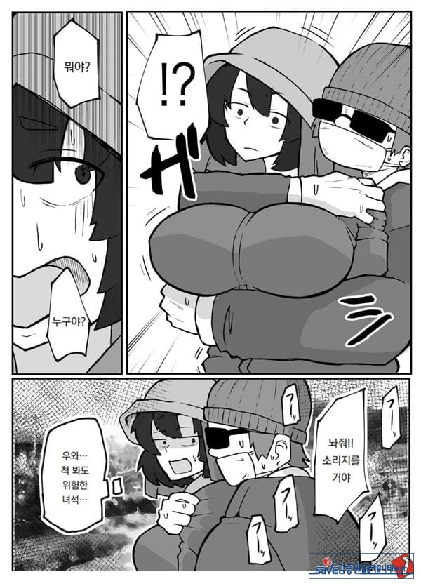 어느 시골마을의 주부 연속 강간 사건